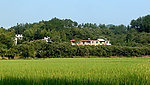 田园风光