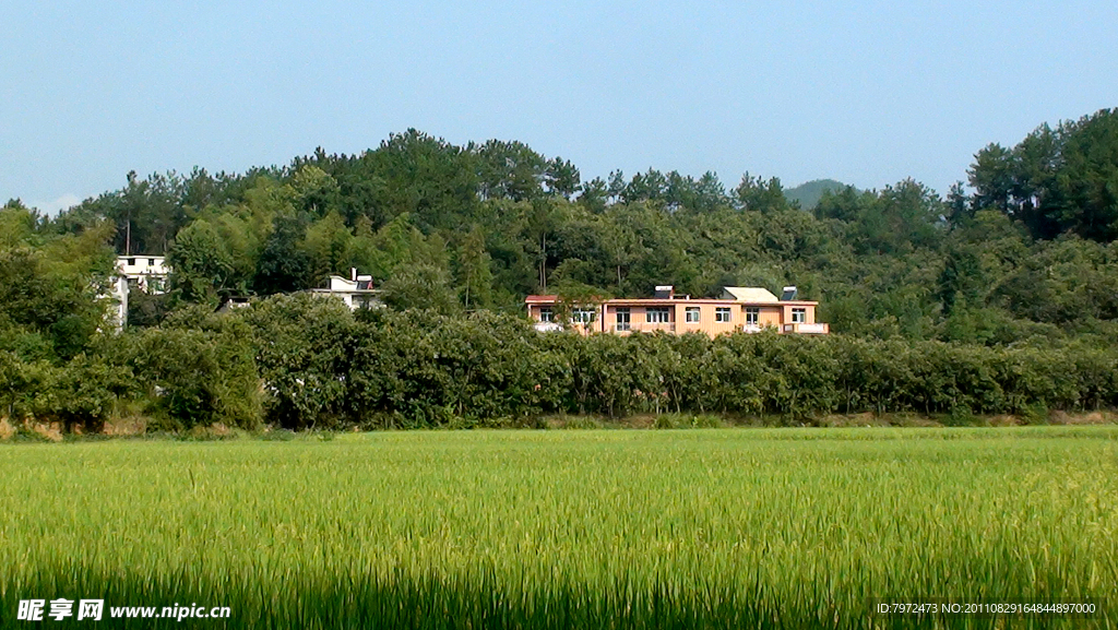 田园风光