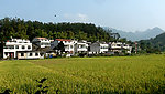 农村新居