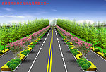 道路设计