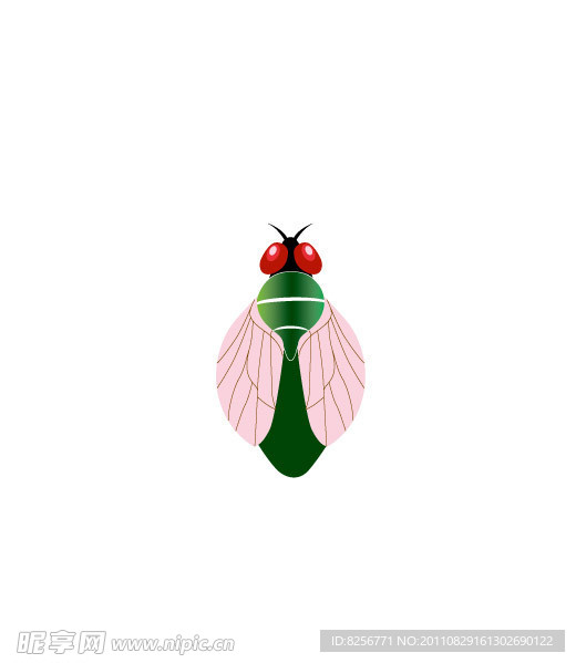 苍蝇