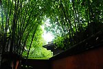 幽静的小屋