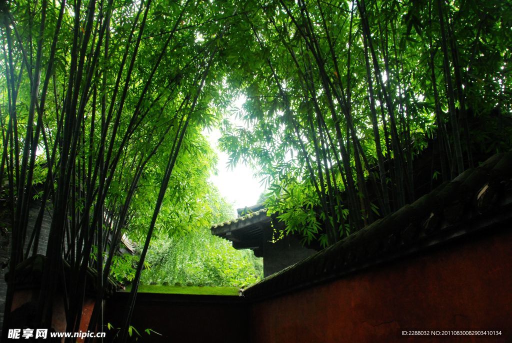 幽静的小屋