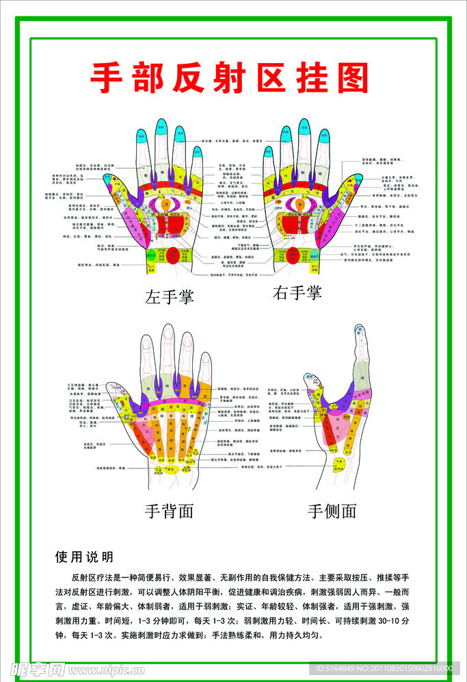 手部反射区挂图