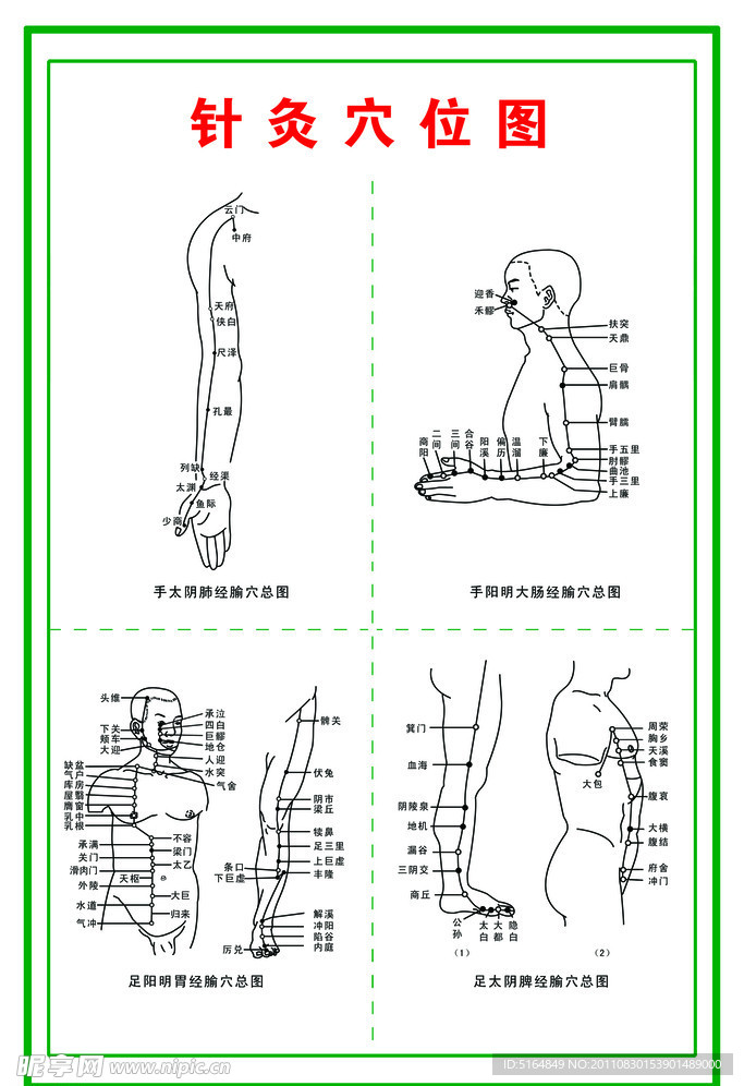 针灸穴位图