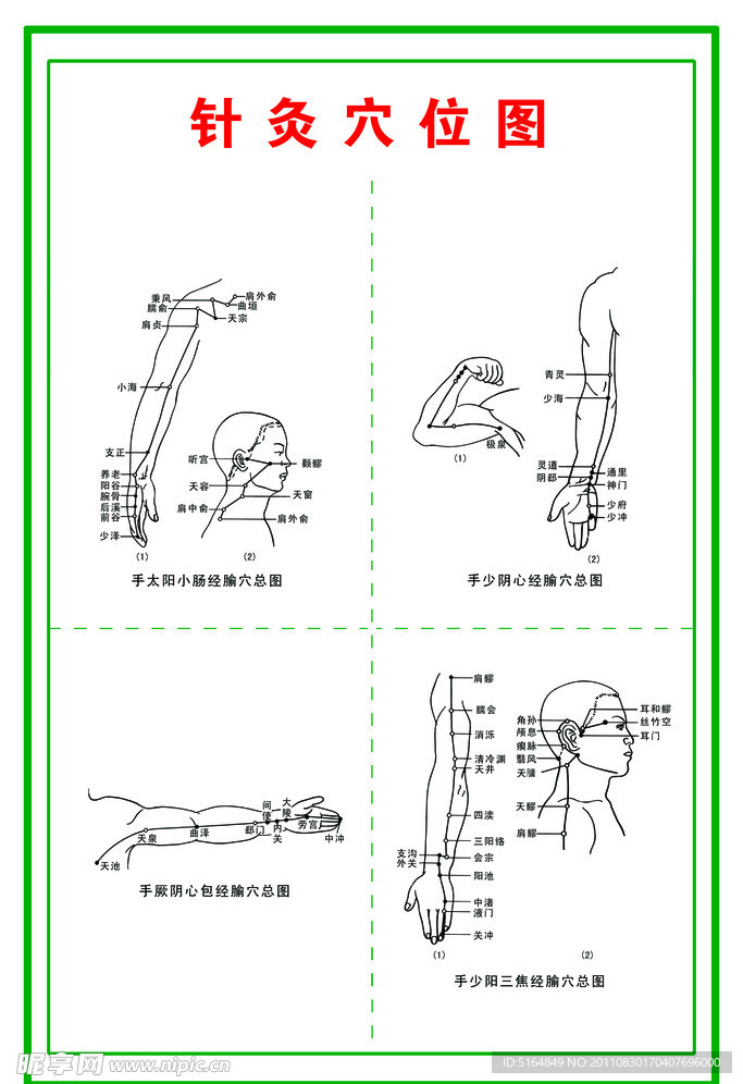 针灸穴位图