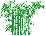 竹林