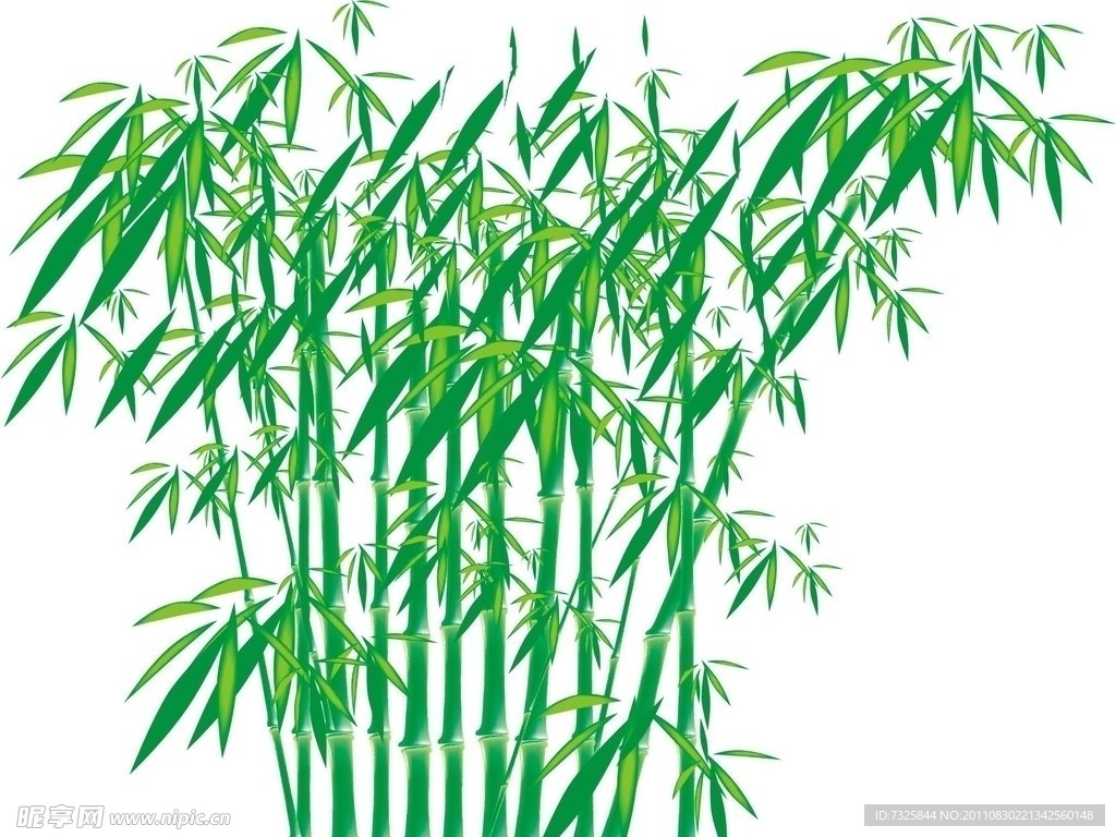 竹林