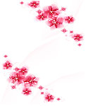 小花移门