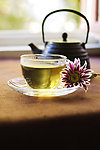 菊花茶
