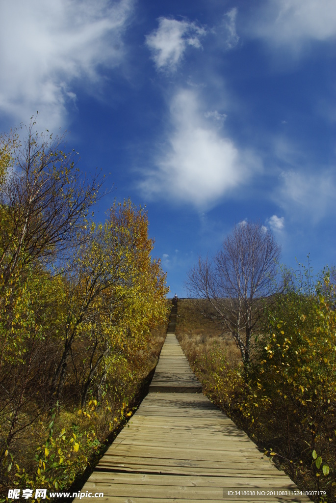 百花山风景