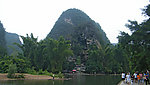 阳朔 大榕树