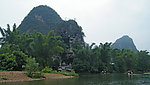 阳朔 大榕树