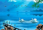 天鹅湖