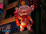 小猪 新年