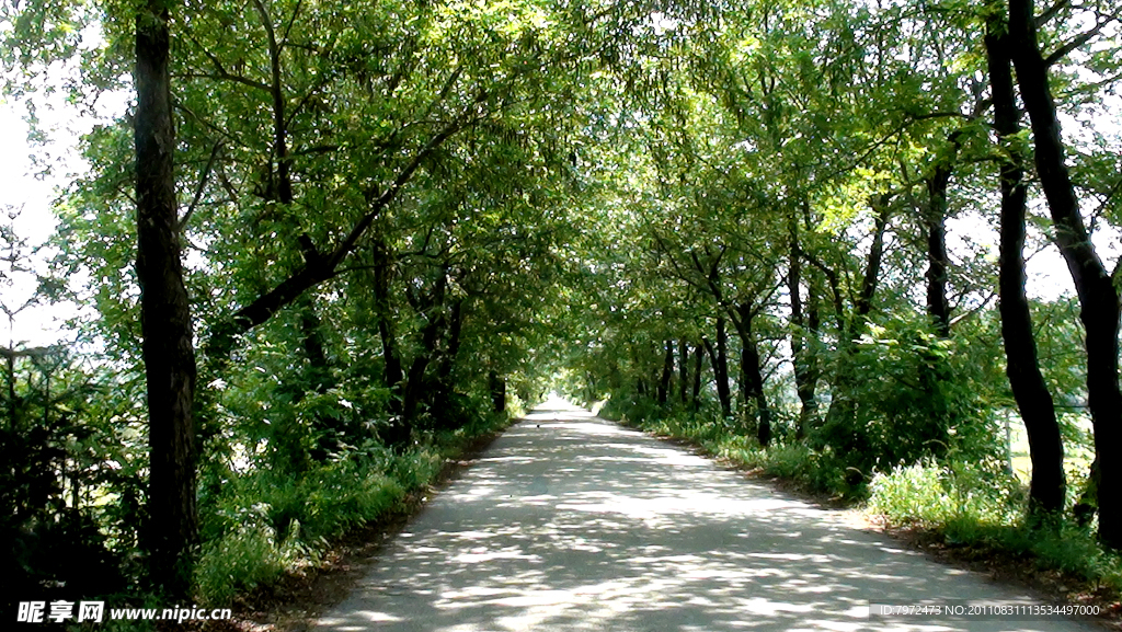 乡村道路