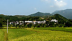 新农村