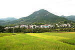 鄂东新农村
