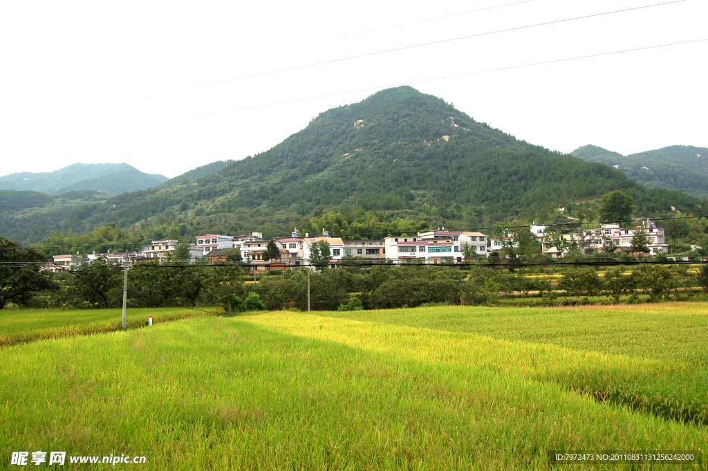 鄂东新农村