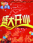 德尔惠盛大开业海报