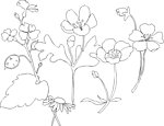 国画白描素材