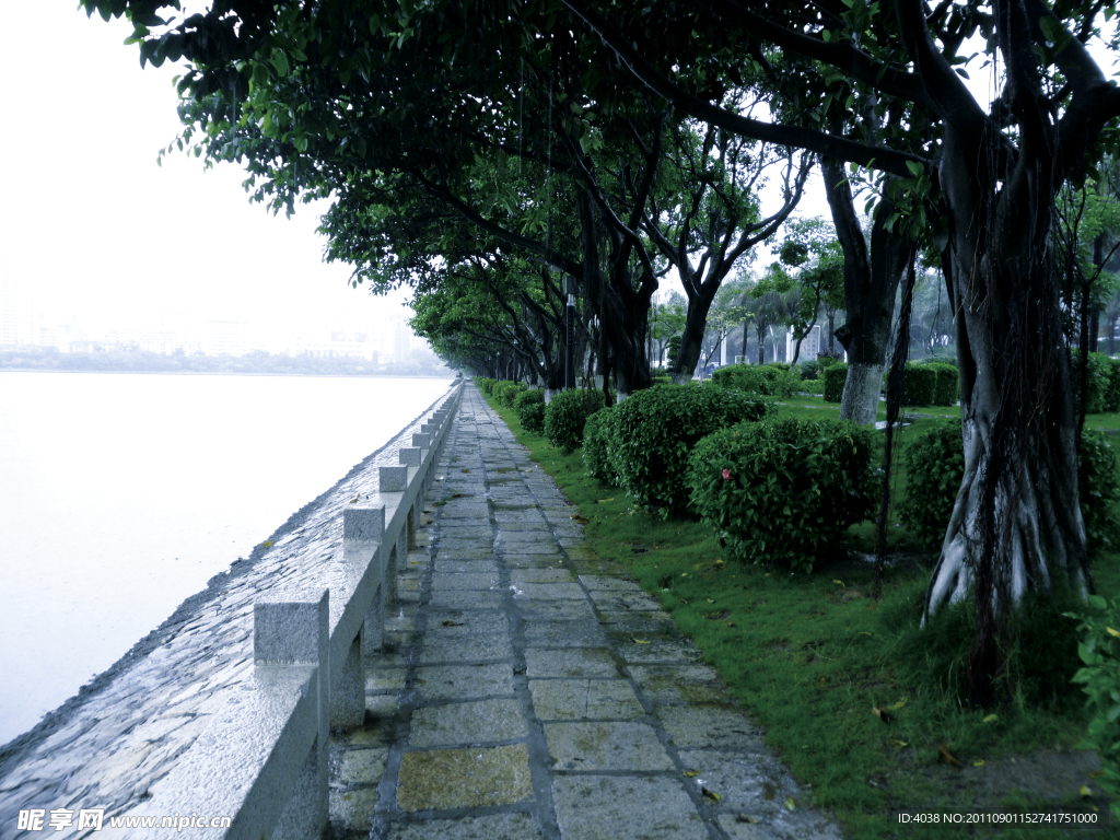 厦门筼筜湖雨景