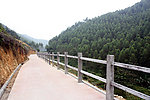 山道