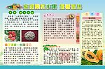 水果宣传栏