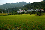 田园风光