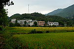 田园风光