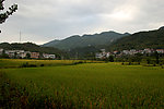 田园风光