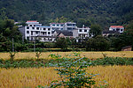 农村新居