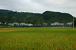 田园风光