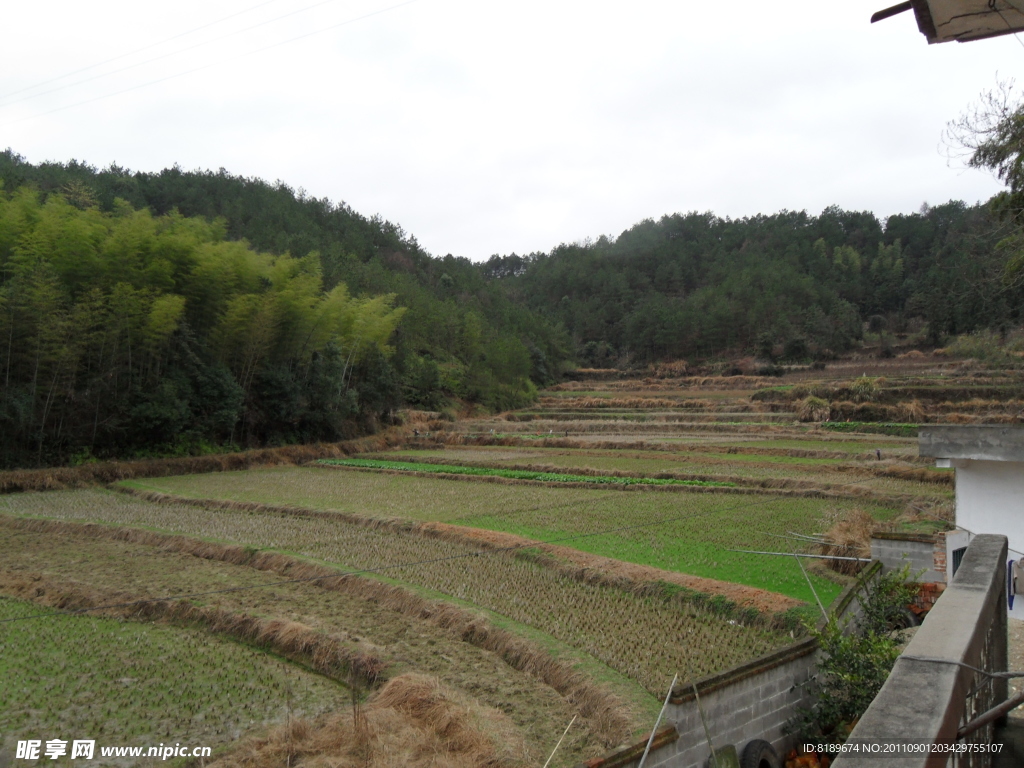 青山乡间