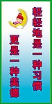 学校展板