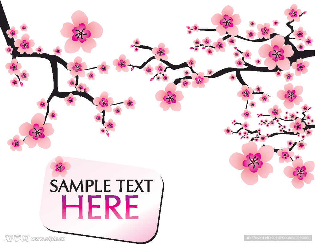 梅花 樱花