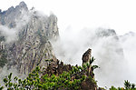 黄山春色
