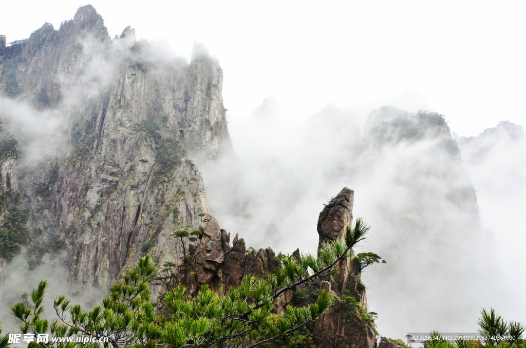 黄山春色