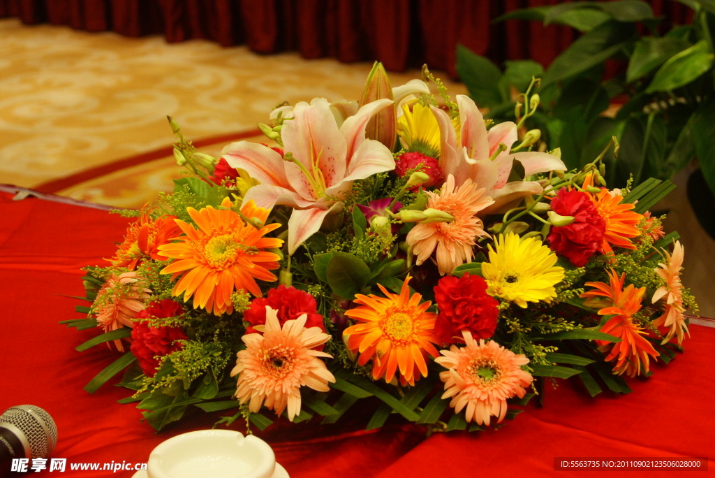 百合菊花
