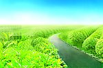 蓝天白云 茶叶背景