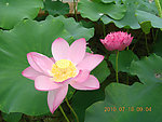 共浴阳光