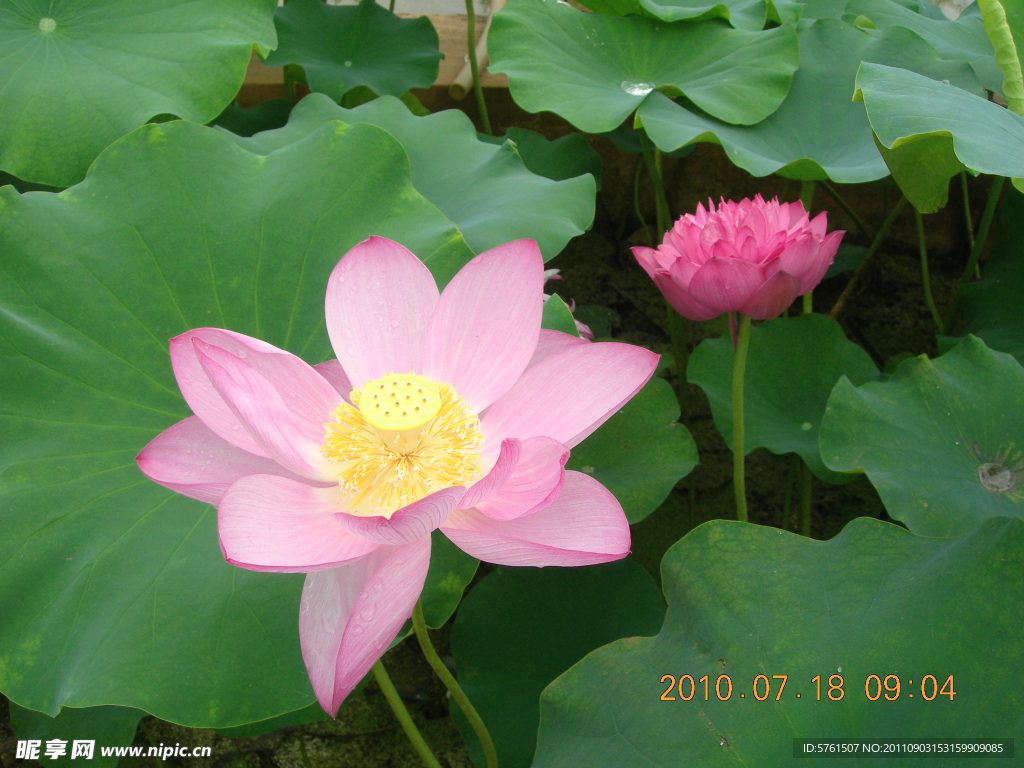 共浴阳光
