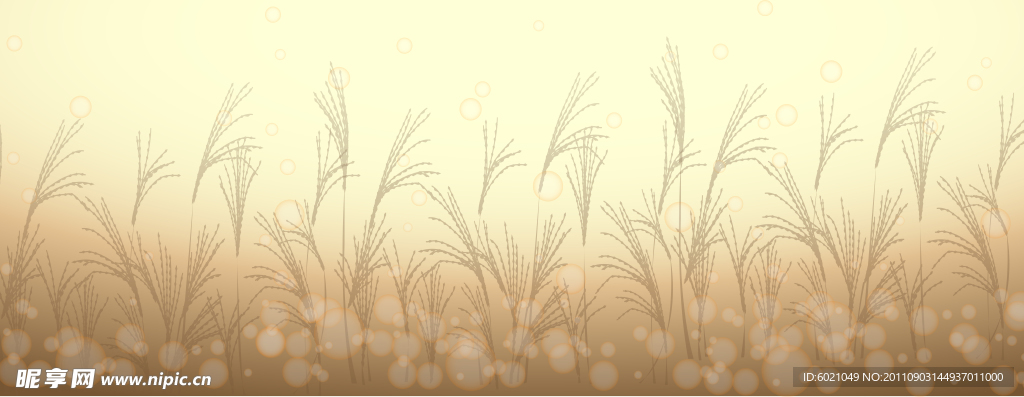 芦苇背景