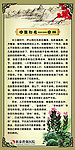 中医挂图
