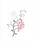 花纹