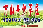 茶庄门头