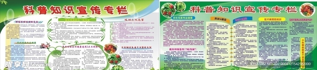 科普宣传专栏