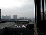清晨的窗外