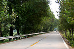 乡村道路