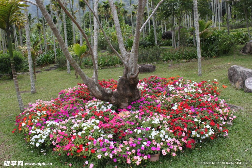 花团